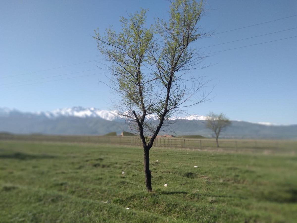 Уютный Ночлег Иссыкские Курганы Rahat Bagian luar foto
